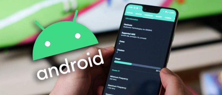 अधिकारी! यह Android Q का नाम है और सुविधाओं और लाभों का एक संग्रह है