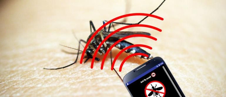 5 millors aplicacions repel·lents de mosquits per a Android 2019 | No engany!