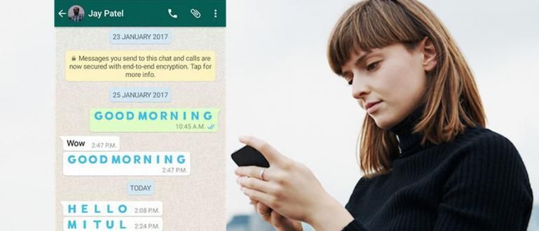 Com crear text amb colors a WhatsApp (Sense arrel!)