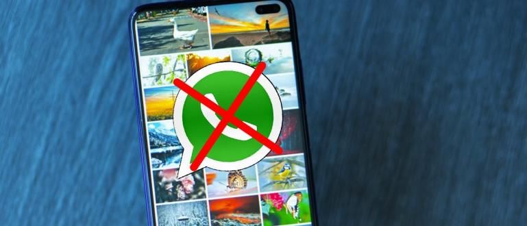 如何防止 WhatsApp 照片自动保存在图库中，简单！