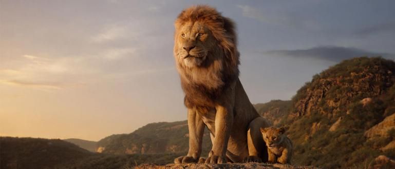 10 parasta elokuvaa, joissa on eläinpäähahmoja | Ei. 3 Itkettää!
