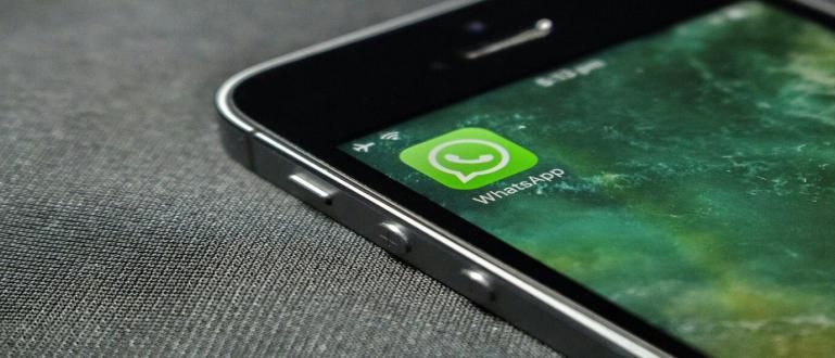 Easy Tricks to Convert Video Into GIF With WhatsApp App