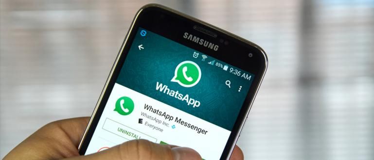 7 aplicacions que poden fer que el teu WhatsApp sigui més sofisticat!