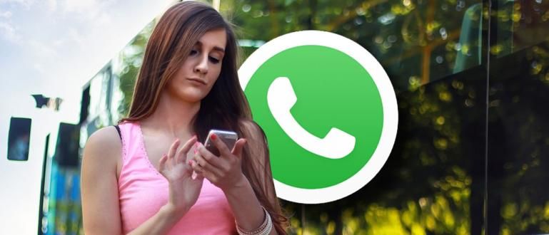 Com veure amagat l'últim WhatsApp vist de la teva xicota!