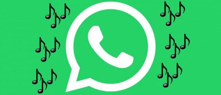 كيفية جعل حالة الأغنية على أحدث WhatsApp 2020 ، مضمونة لتكون أكثر برودة!