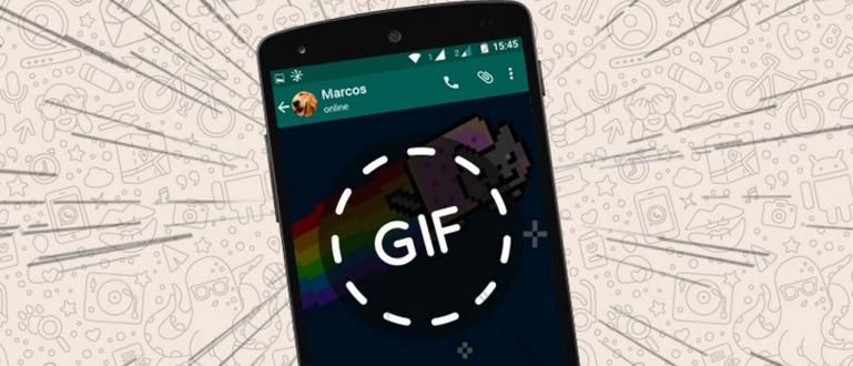 Easy Way to Make Your Own GIF on WhatsApp, Really Easy!