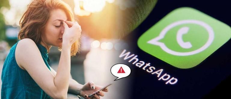 Collection of Easy Ways to Overcome WhatsApp Errors | 100% Works