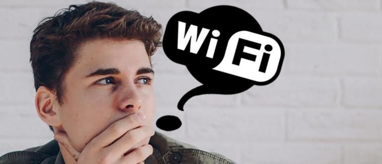 Utilitzeu sovint, saps que Wi-Fi significa?